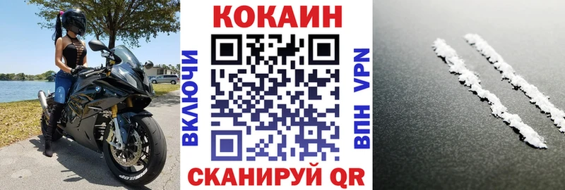 КОКАИН Fish Scale  Купить закладки  Новоалтайск 