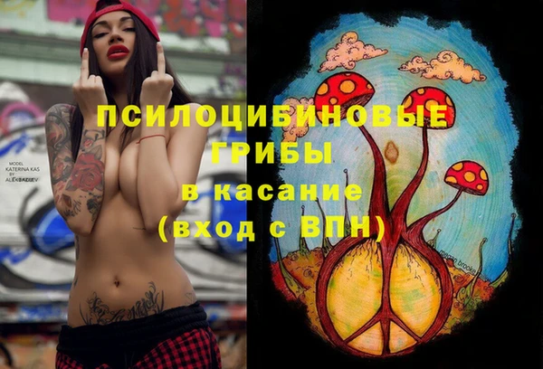 эйфоретик Горняк