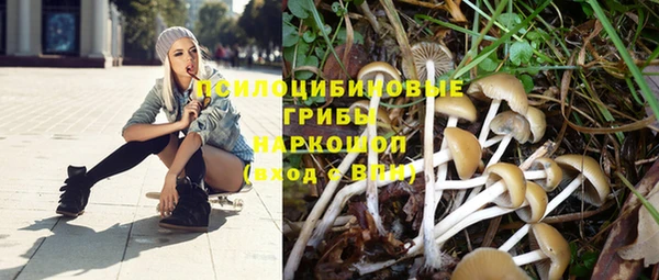 эйфоретик Горняк