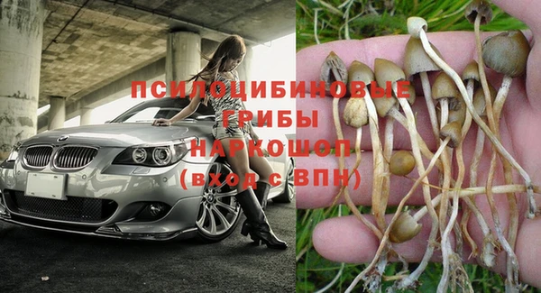 эйфоретик Горняк