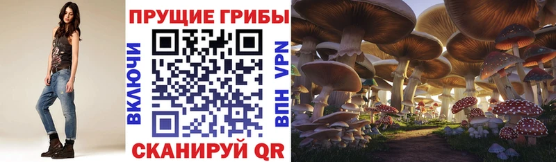 Галлюциногенные грибы мухоморы  Купить где  Новоалтайск 
