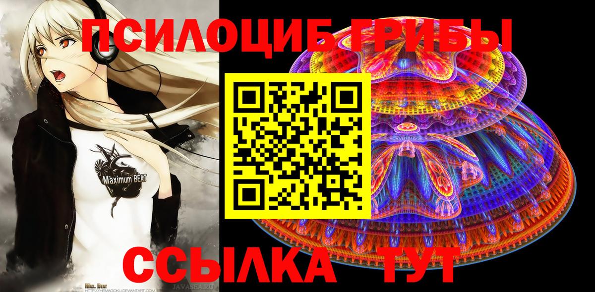 Галлюциногенные грибы Psilocybine cubensis Новоалтайск