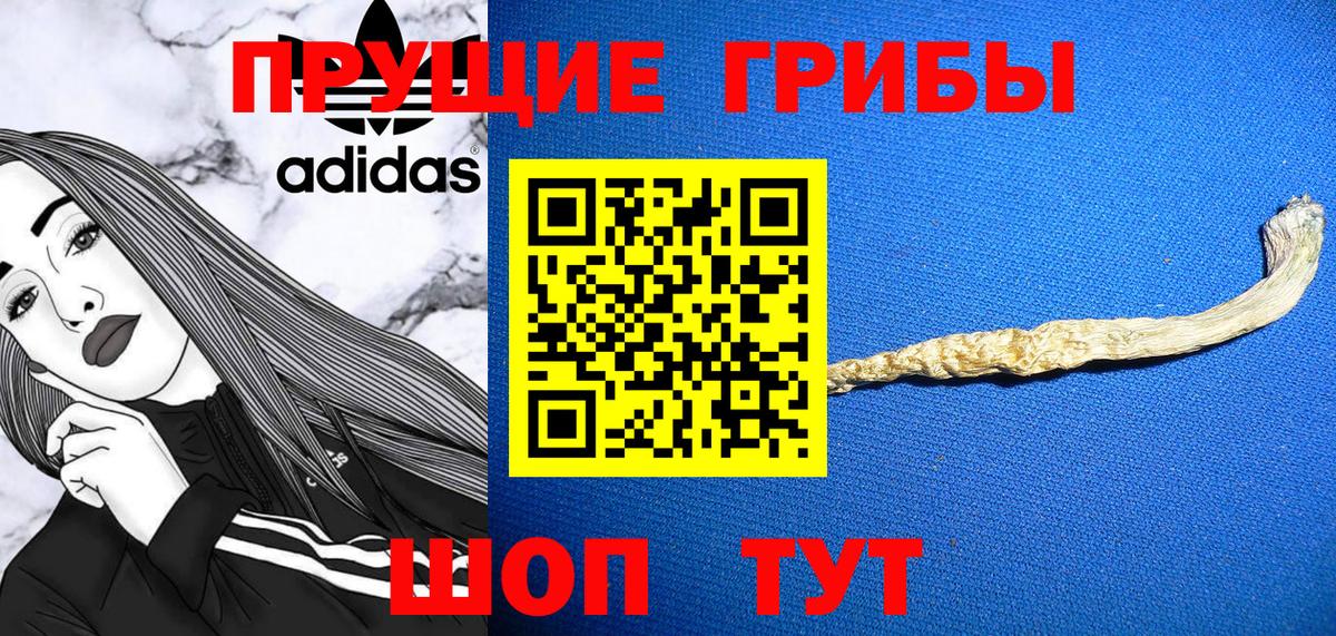 Псилоцибиновые грибы ЛСД  Вход с VPN  Новоалтайск  Галлюциногенные грибы Psilocybine cubensis 