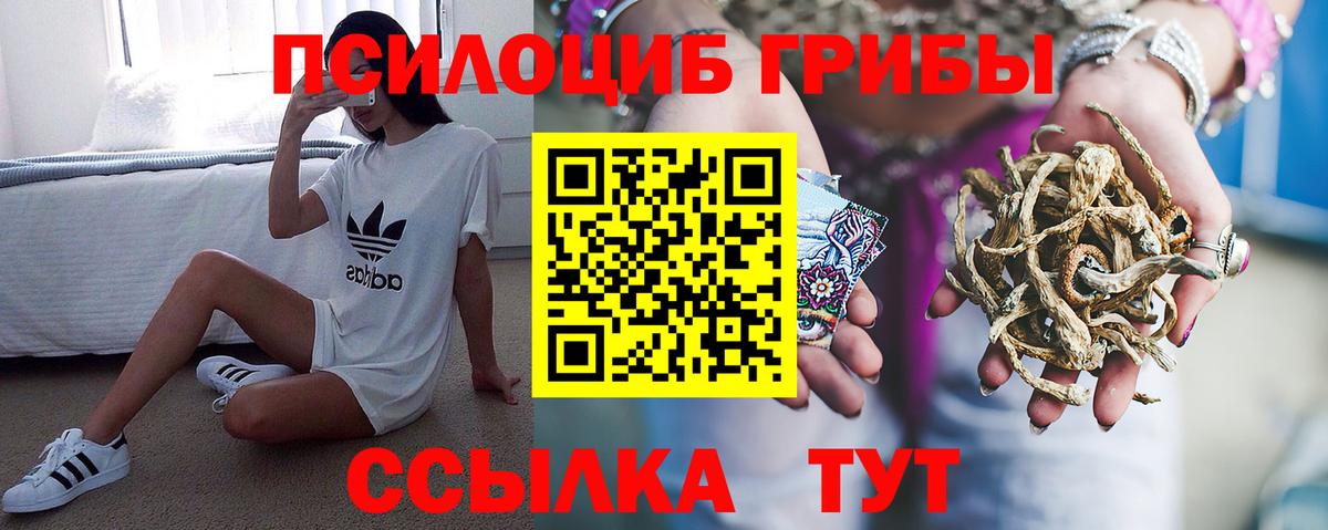Псилоцибиновые грибы Cubensis Новоалтайск